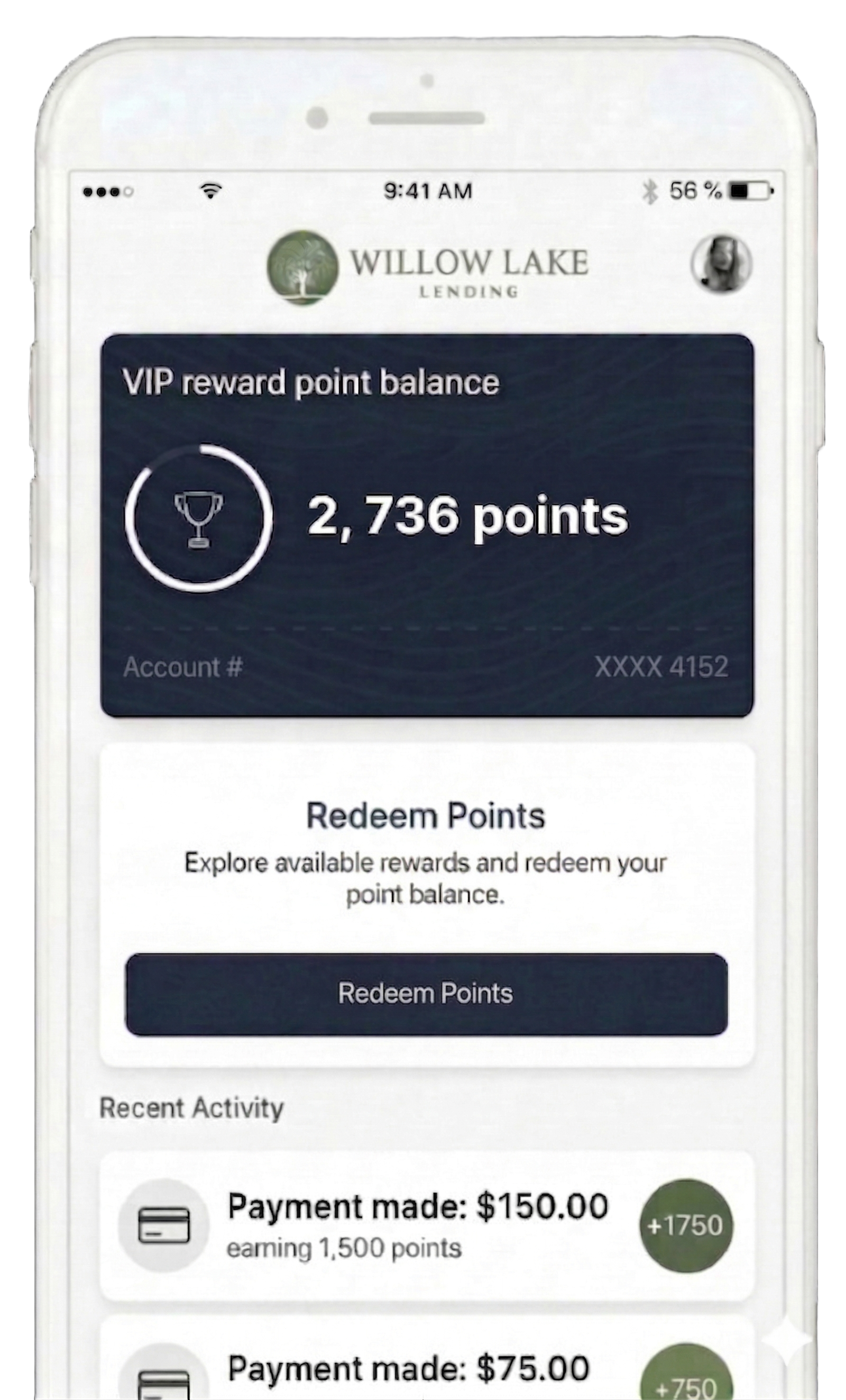 Willow Lake Lending redeem points
